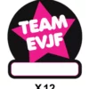 PACK 12 STICKERS T-SHIRT EVJF