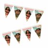 Guirlande Vaiana 9 fanions – 2,3 mètres – décoration fête Disney