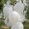 Ballon colombe cérémonie