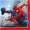 Serviette Spider-Man – Image 2