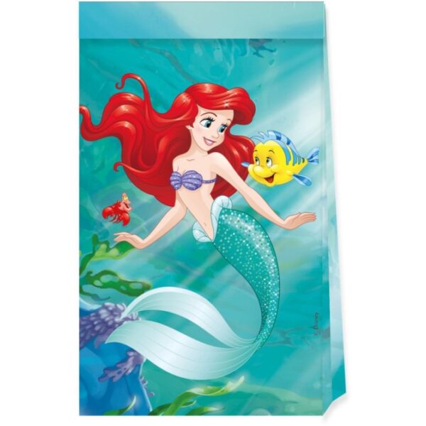 Sacs cadeaux Princesse Disney