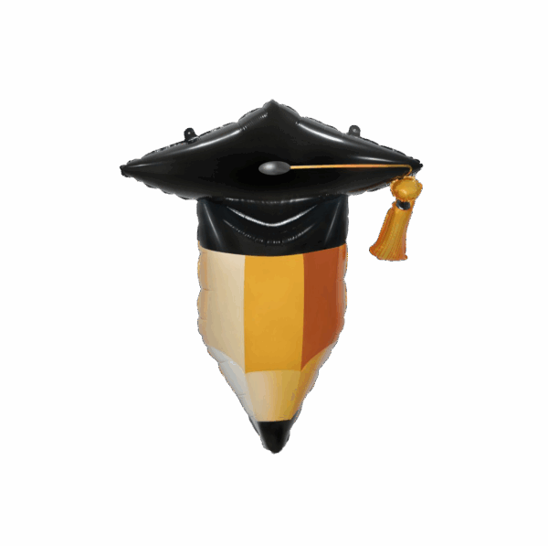 Ballon Fête Fin d'Études – Image 2